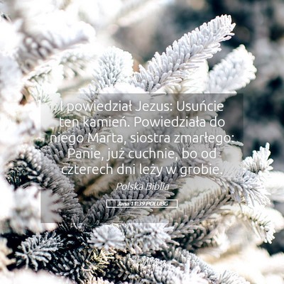 Picture 05 - Jana 11:39 POLUBG - I powiedział Jezus: Usuńcie ten kamień. - Bible Verse Picture