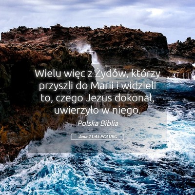 Picture 05 - Jana 11:45 POLUBG - Wielu więc z Żydów, którzy przyszli do Marii - Bible Verse Picture