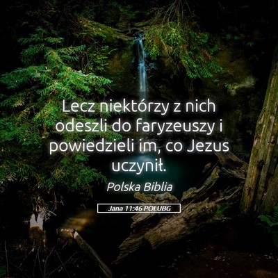Picture 05 - Jana 11:46 POLUBG - Lecz niektórzy z nich odeszli do faryzeuszy i - Bible Verse Picture