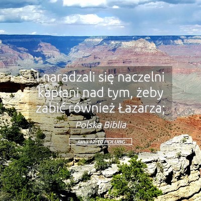 Picture 05 - Jana 12:10 POLUBG - I naradzali się naczelni kapłani nad tym, żeby - Bible Verse Picture