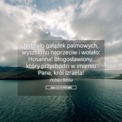 Picture 05 - Jana 12:13 POLUBG - Nabrało gałązek palmowych, wyszło mu - Bible Verse Picture