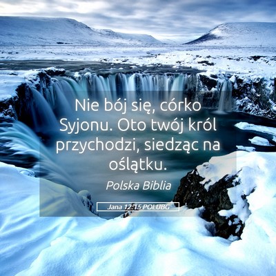 Picture 05 - Jana 12:15 POLUBG - Nie bój się, córko Syjonu. Oto twój król - Bible Verse Picture