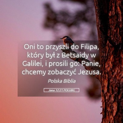 Picture 05 - Jana 12:21 POLUBG - Oni to przyszli do Filipa, który był z Betsaidy - Bible Verse Picture