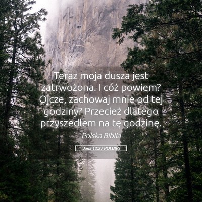 Picture 05 - Jana 12:27 POLUBG - Teraz moja dusza jest zatrwożona. I cóż - Bible Verse Picture