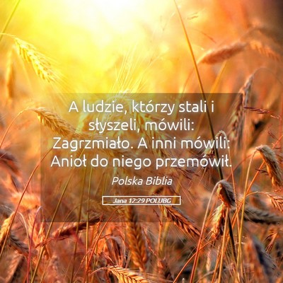 Picture 05 - Jana 12:29 POLUBG - A ludzie, którzy stali i słyszeli, mówili: - Bible Verse Picture