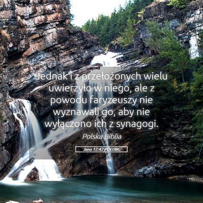Picture 05 - Jana 12:42 POLUBG - Jednak i z przełożonych wielu uwierzyło w - Bible Verse Picture