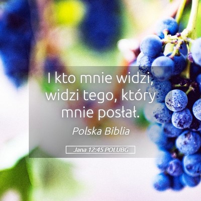 Picture 05 - Jana 12:45 POLUBG - I kto mnie widzi, widzi tego, który mnie - Bible Verse Picture