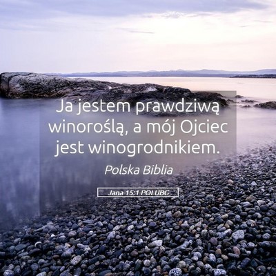 Picture 05 - Jana 15:1 POLUBG - Ja jestem prawdziwą winoroślą, a mój Ojciec - Bible Verse Picture
