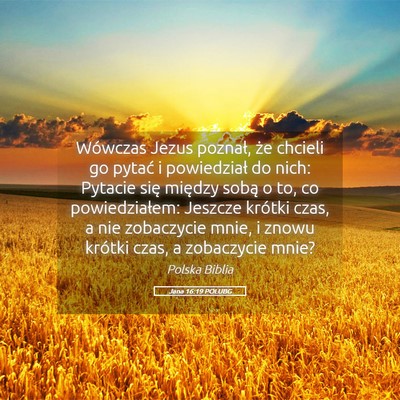 Picture 05 - Jana 16:19 POLUBG - Wówczas Jezus poznał, że chcieli go pytać i - Bible Verse Picture
