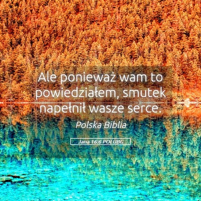 Picture 05 - Jana 16:6 POLUBG - Ale ponieważ wam to powiedziałem, smutek - Bible Verse Picture