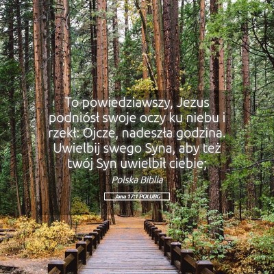 Picture 05 - Jana 17:1 POLUBG - To powiedziawszy, Jezus podniósł swoje oczy ku - Bible Verse Picture