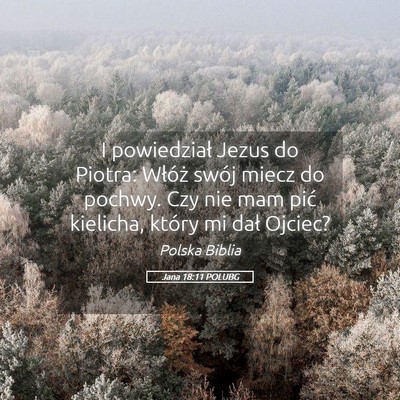 Picture 05 - Jana 18:11 POLUBG - I powiedział Jezus do Piotra: Włóż swój - Bible Verse Picture