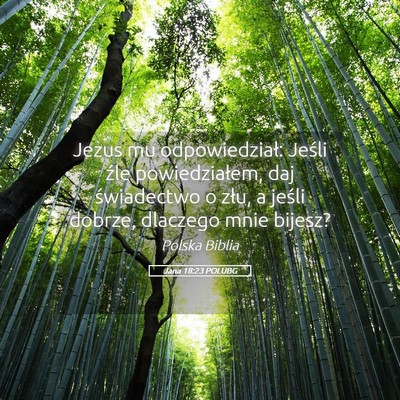 Picture 05 - Jana 18:23 POLUBG - Jezus mu odpowiedział: Jeśli źle - Bible Verse Picture