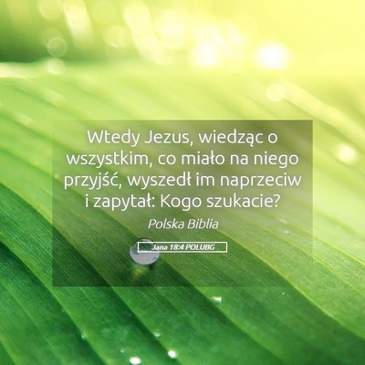 Picture 05 - Jana 18:4 POLUBG - Wtedy Jezus, wiedząc o wszystkim, co miało na - Bible Verse Picture