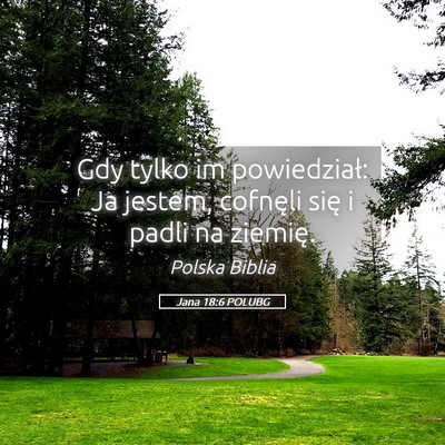 Picture 05 - Jana 18:6 POLUBG - Gdy tylko im powiedział: Ja jestem, cofnęli - Bible Verse Picture