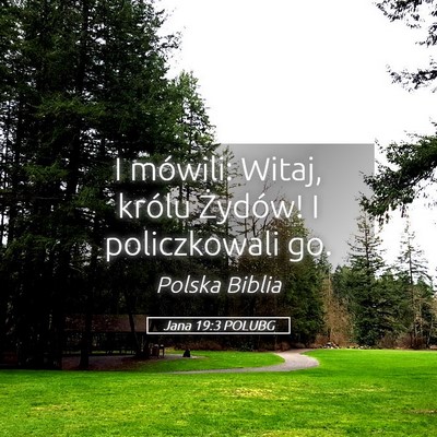 Picture 05 - Jana 19:3 POLUBG - I mówili: Witaj, królu Żydów! I policzkowali - Bible Verse Picture