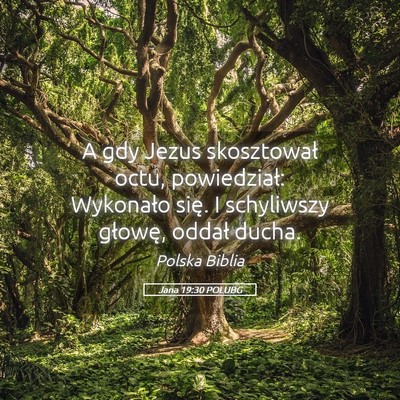 Picture 05 - Jana 19:30 POLUBG - A gdy Jezus skosztował octu, powiedział: - Bible Verse Picture