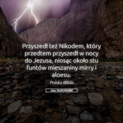 Picture 05 - Jana 19:39 POLUBG - Przyszedł też Nikodem, który przedtem - Bible Verse Picture