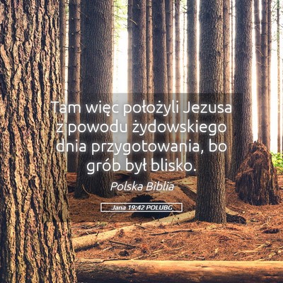 Picture 05 - Jana 19:42 POLUBG - Tam więc położyli Jezusa z powodu żydowskiego - Bible Verse Picture