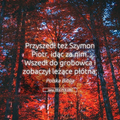 Picture 05 - Jana 20:6 POLUBG - Przyszedł też Szymon Piotr, idąc za nim. - Bible Verse Picture