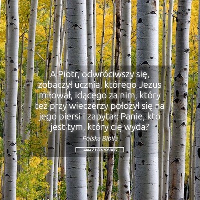 Picture 05 - Jana 21:20 POLUBG - A Piotr, odwróciwszy się, zobaczył ucznia, - Bible Verse Picture
