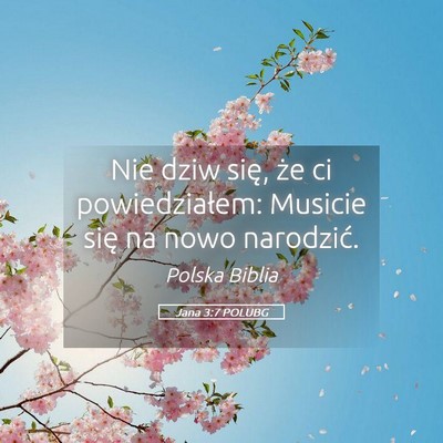 Picture 05 - Jana 3:7 POLUBG - Nie dziw się, że ci powiedziałem: Musicie się - Bible Verse Picture