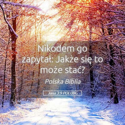 Picture 05 - Jana 3:9 POLUBG - Nikodem go zapytał: Jakże się to może - Bible Verse Picture