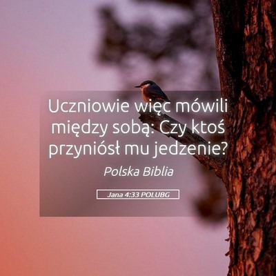 Picture 05 - Jana 4:33 POLUBG - Uczniowie więc mówili między sobą: Czy ktoś - Bible Verse Picture