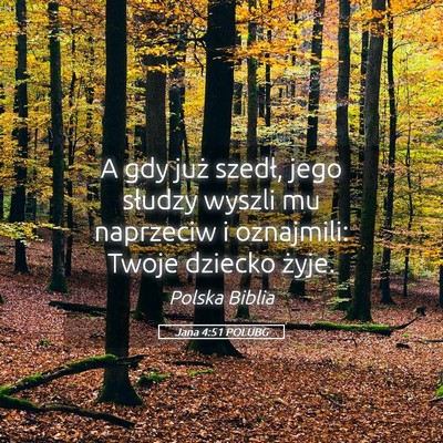 Picture 05 - Jana 4:51 POLUBG - A gdy już szedł, jego słudzy wyszli mu - Bible Verse Picture