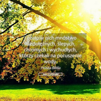 Picture 05 - Jana 5:3 POLUBG - Leżało w nich mnóstwo niedołężnych, - Bible Verse Picture