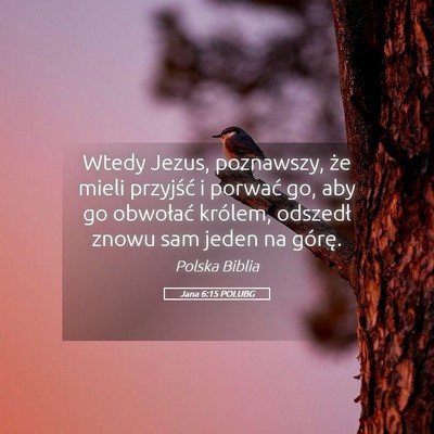 Picture 05 - Jana 6:15 POLUBG - Wtedy Jezus, poznawszy, że mieli przyjść i - Bible Verse Picture