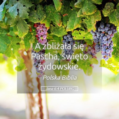 Picture 05 - Jana 6:4 POLUBG - A zbliżała się Pascha, święto - Bible Verse Picture