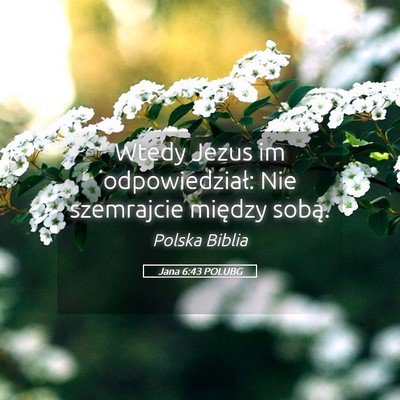 Picture 05 - Jana 6:43 POLUBG - Wtedy Jezus im odpowiedział: Nie szemrajcie - Bible Verse Picture