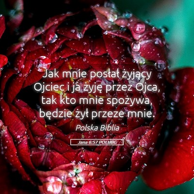 Picture 05 - Jana 6:57 POLUBG - Jak mnie posłał żyjący Ojciec i ja żyję - Bible Verse Picture