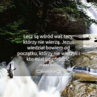 Picture 05 - Jana 6:64 POLUBG - Lecz są wśród was tacy, którzy nie wierzą. - Bible Verse Picture