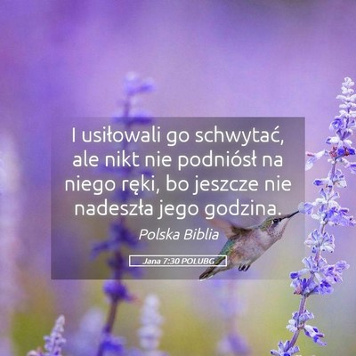 Picture 05 - Jana 7:30 POLUBG - I usiłowali go schwytać, ale nikt nie - Bible Verse Picture