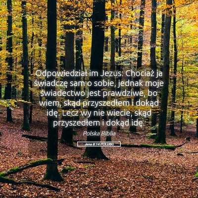 Picture 05 - Jana 8:14 POLUBG - Odpowiedział im Jezus: Chociaż ja świadczę - Bible Verse Picture