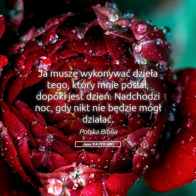 Picture 05 - Jana 9:4 POLUBG - Ja muszę wykonywać dzieła tego, który mnie - Bible Verse Picture
