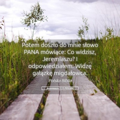 Picture 05 - Jeremiasza 1:11 POLUBG - Potem doszło do mnie słowo PANA mówiące: Co - Bible Verse Picture