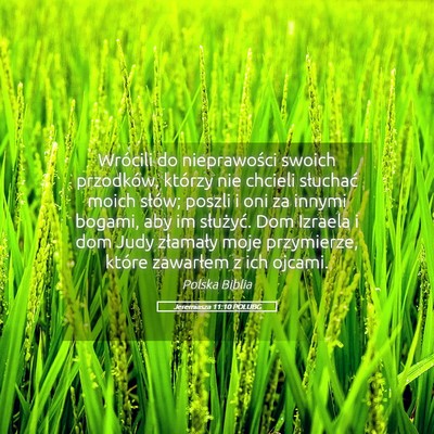 Picture 05 - Jeremiasza 11:10 POLUBG - Wrócili do nieprawości swoich przodków, - Bible Verse Picture