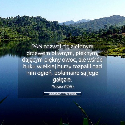 Picture 05 - Jeremiasza 11:16 POLUBG - PAN nazwał cię zielonym drzewem oliwnym, - Bible Verse Picture