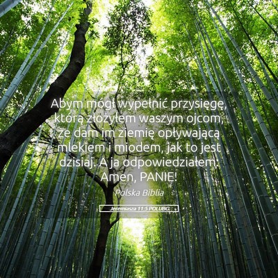 Picture 05 - Jeremiasza 11:5 POLUBG - Abym mógł wypełnić przysięgę, którą - Bible Verse Picture