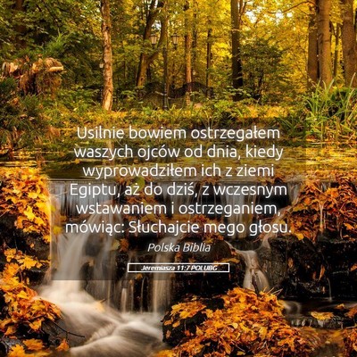 Picture 05 - Jeremiasza 11:7 POLUBG - Usilnie bowiem ostrzegałem waszych ojców od - Bible Verse Picture