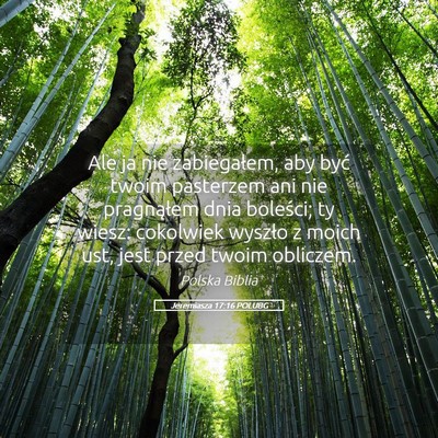 Picture 05 - Jeremiasza 17:16 POLUBG - Ale ja nie zabiegałem, aby być twoim pasterzem - Bible Verse Picture