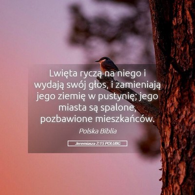 Picture 05 - Jeremiasza 2:15 POLUBG - Lwięta ryczą na niego i wydają swój głos, i - Bible Verse Picture