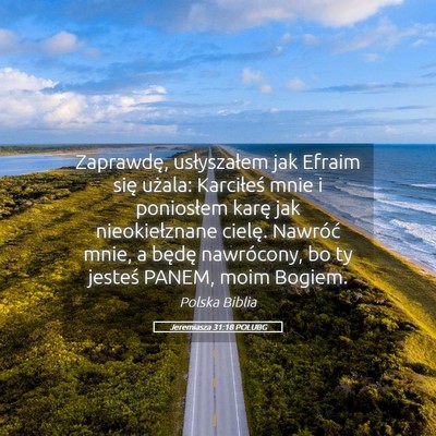 Picture 05 - Jeremiasza 31:18 POLUBG - Zaprawdę, usłyszałem jak Efraim się użala: - Bible Verse Picture