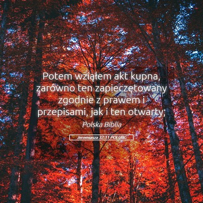 Picture 05 - Jeremiasza 32:11 POLUBG - Potem wziąłem akt kupna, zarówno ten - Bible Verse Picture
