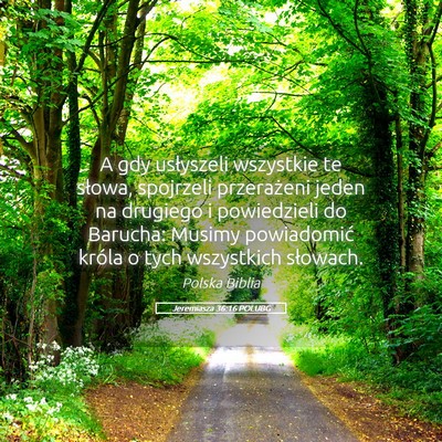 Picture 05 - Jeremiasza 36:16 POLUBG - A gdy usłyszeli wszystkie te słowa, spojrzeli - Bible Verse Picture