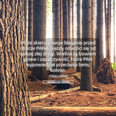 Picture 05 - Jeremiasza 36:7 POLUBG - Może skierują swoje błaganie przed oblicze - Bible Verse Picture