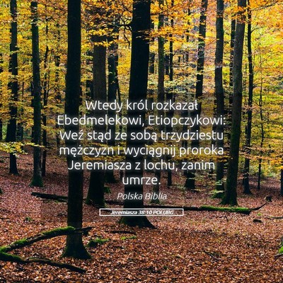 Picture 05 - Jeremiasza 38:10 POLUBG - Wtedy król rozkazał Ebedmelekowi, Etiopczykowi: - Bible Verse Picture